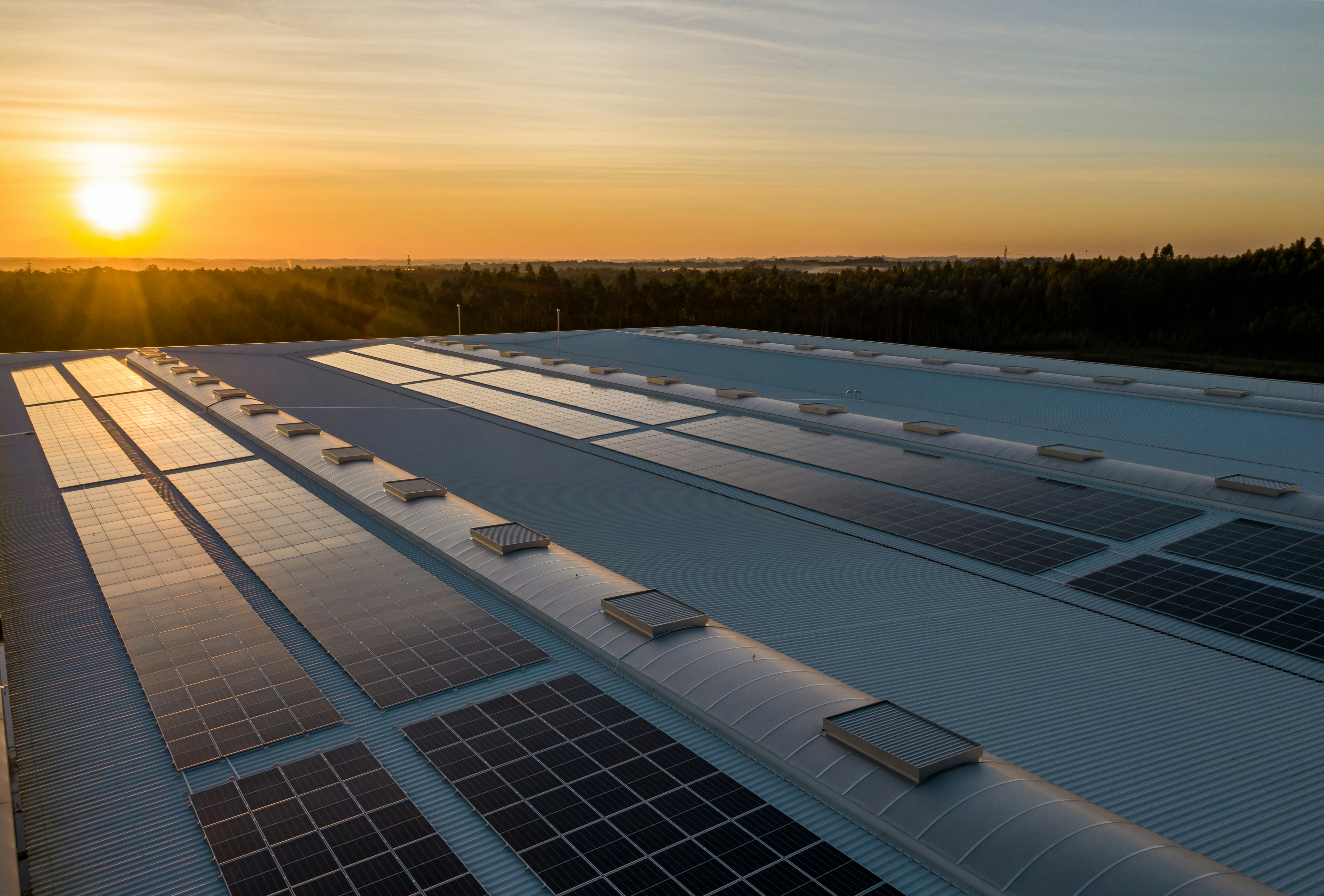 Calentadores solares de agua al vacío y termotanques: Eficiencia térmica para hogares y posadas
