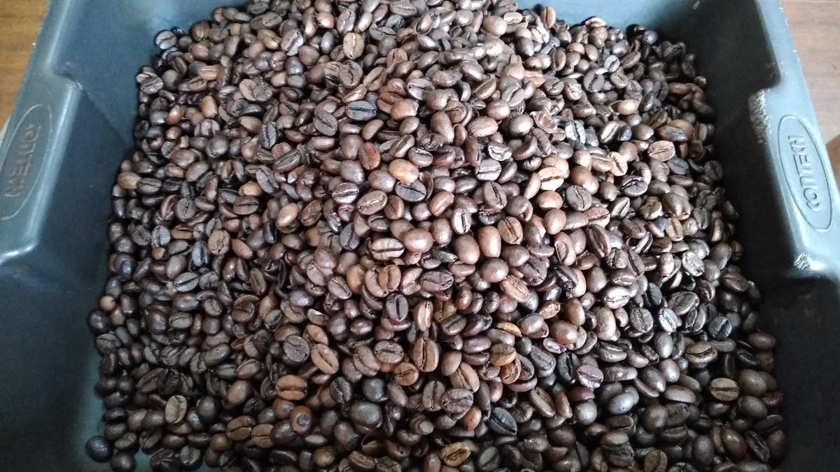 Maquinaria para envasado y sellado de café: Selladoras continuas con inyección de nitrógeno y válvulas de desgasificación