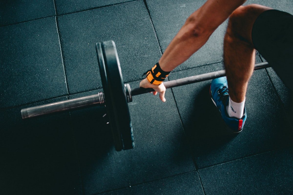 Equipamiento para gimnasios comerciales y boxes de crossfit: Jaulas de potencia, mancuernas y barras olímpicas