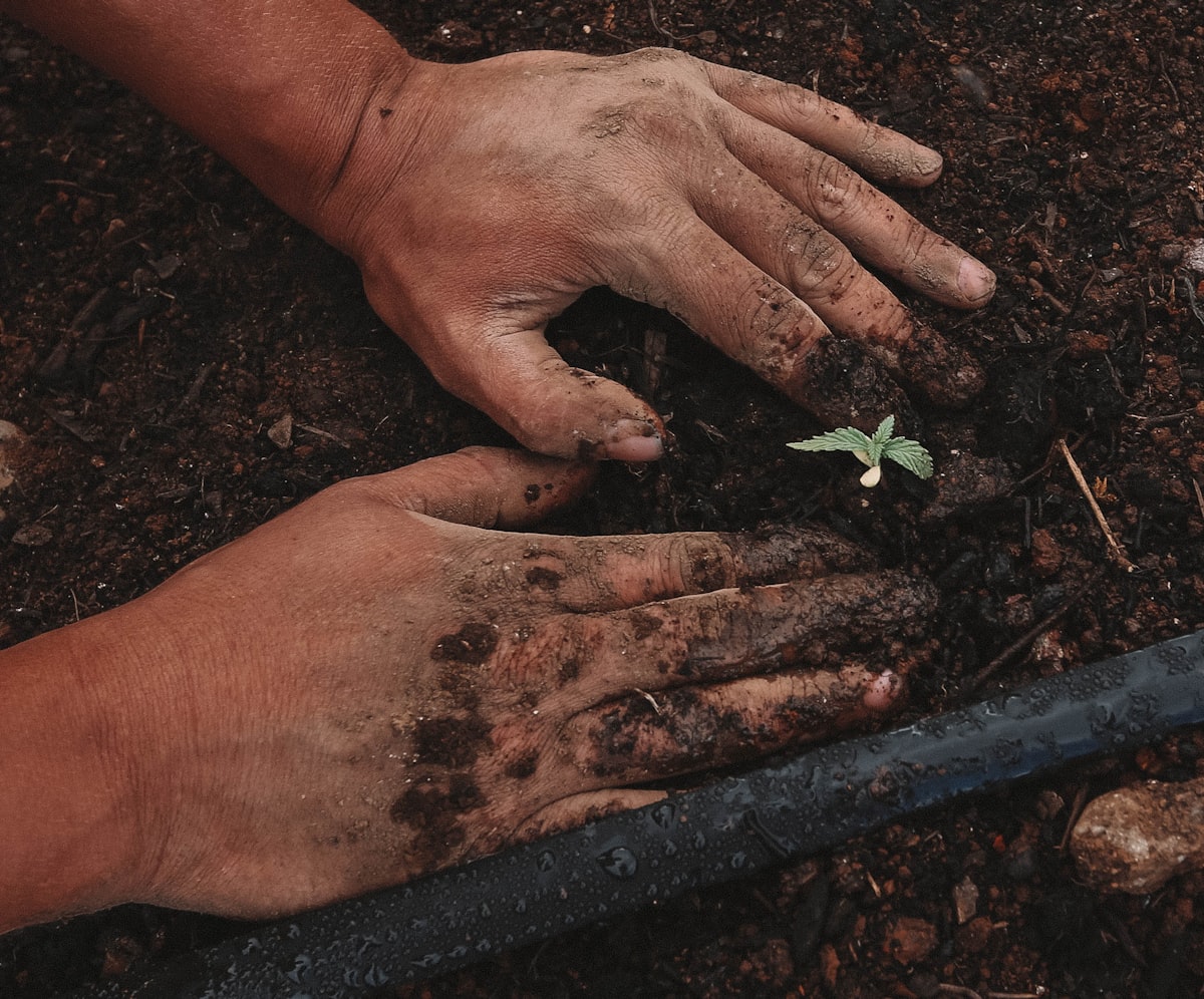Herramientas de jardinería y motobombas: Husqvarna, Stihl y bombas de riego