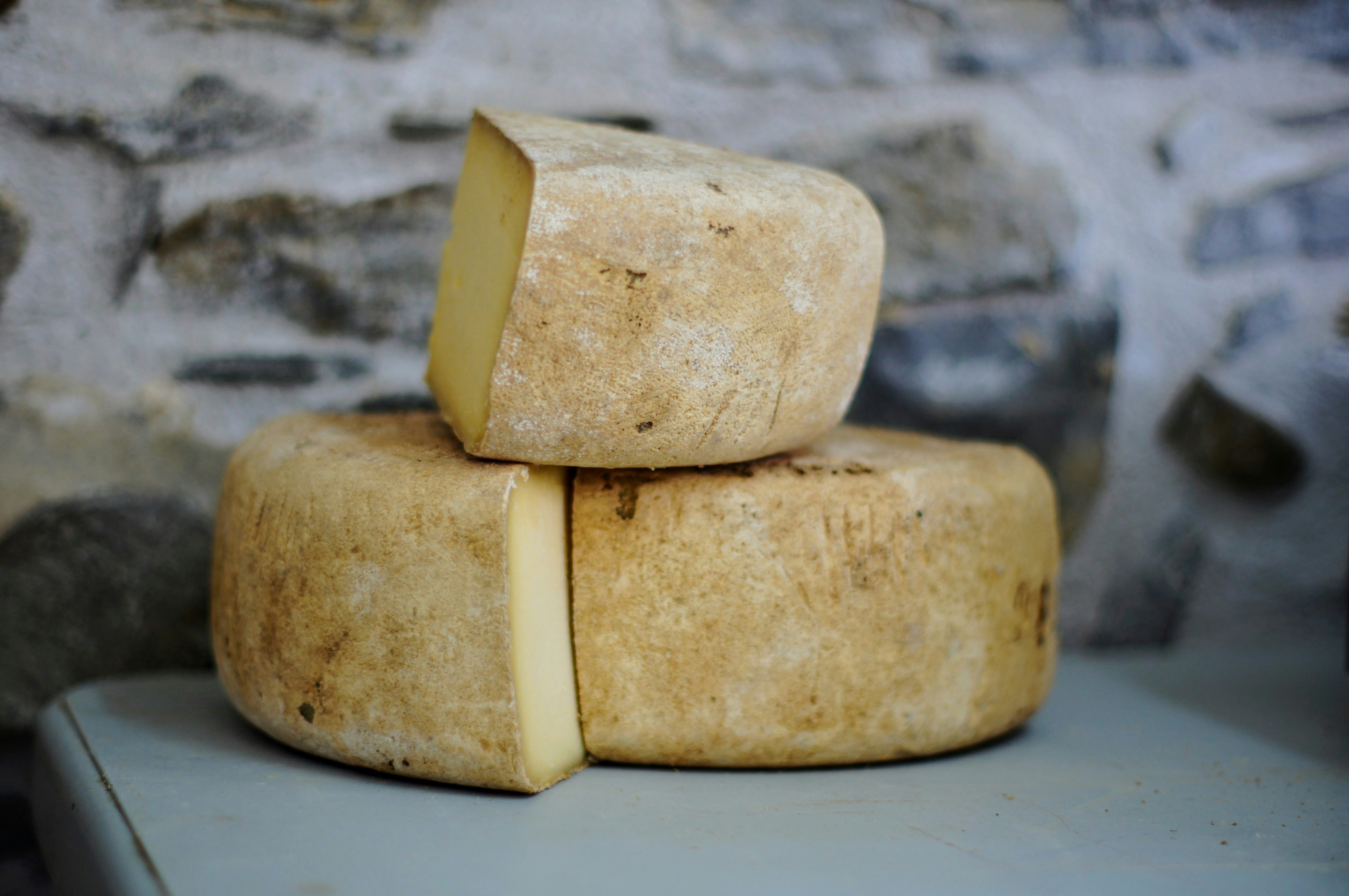 Sistemas de pasteurización y quesería artesanal: Cubas pasteurizadoras y prensas de cuajada